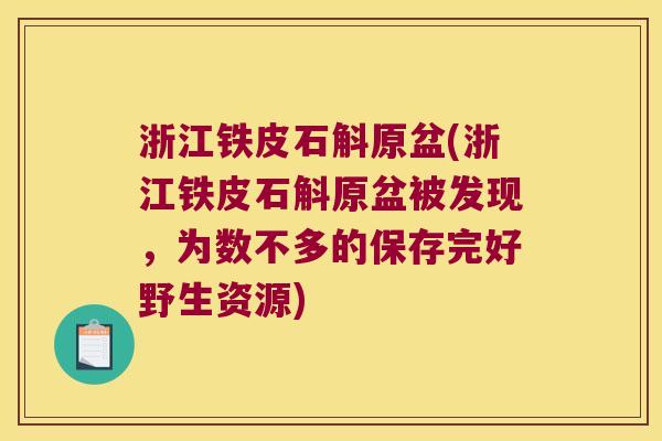 浙江铁皮石斛原盆(浙江铁皮石斛原盆被发现，为数不多的保存完好野生资源)