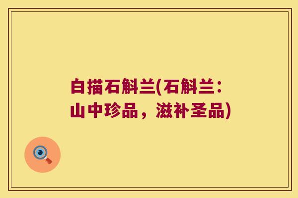 白描石斛兰(石斛兰：山中珍品，滋补圣品)