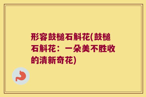 形容鼓槌石斛花(鼓槌石斛花：一朵美不胜收的清新奇花)