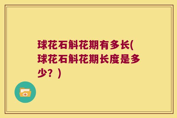 球花石斛花期有多长(球花石斛花期长度是多少？)