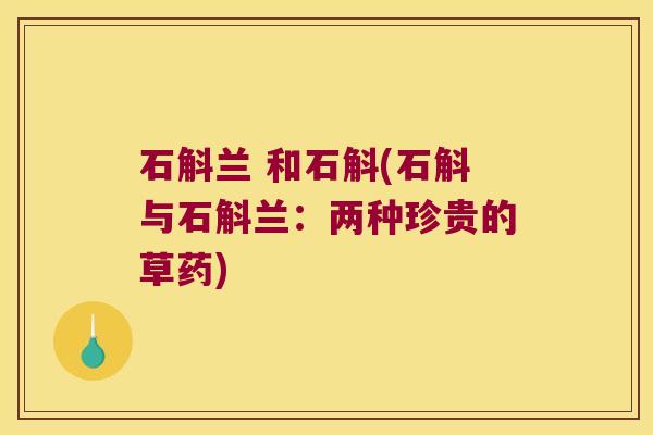 石斛兰 和石斛(石斛与石斛兰:两种珍贵的草药) 石斛兰 和石斛(石斛与石斛兰:两种珍贵的草药)