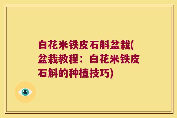 白花米铁皮石斛盆栽(盆栽教程：白花米铁皮石斛的种植技巧)