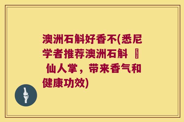 澳洲石斛好香不(悉尼学者推荐澳洲石斛 – 仙人掌，带来香气和健康功效)