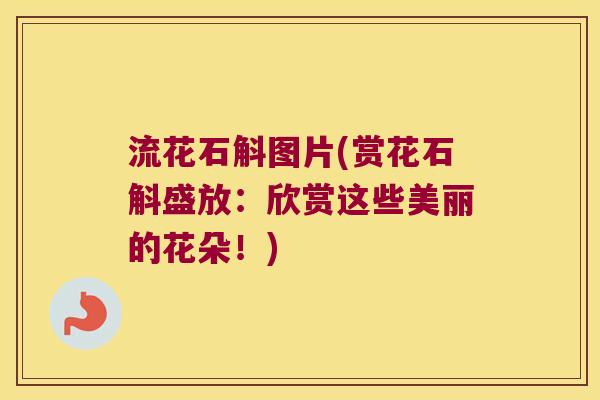 流花石斛图片(赏花石斛盛放：欣赏这些美丽的花朵！)