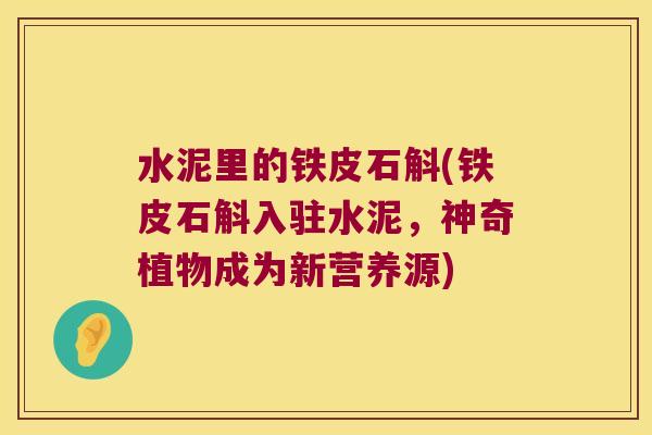 水泥里的铁皮石斛(铁皮石斛入驻水泥，神奇植物成为新营养源)