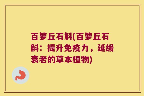 百箩丘石斛(百箩丘石斛：提升免疫力，延缓衰老的草本植物)