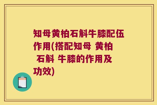 知母黄柏石斛牛膝配伍作用(搭配知母 黄柏 石斛 牛膝的作用及功效)