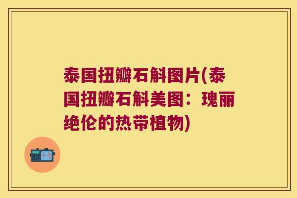 泰国扭瓣石斛图片(泰国扭瓣石斛美图：瑰丽绝伦的热带植物)