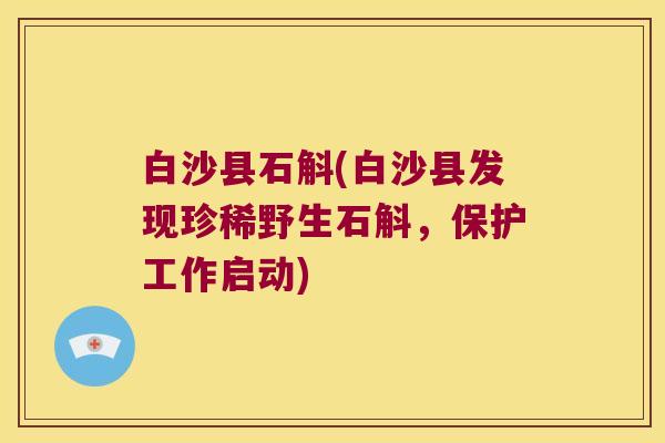 白沙县石斛(白沙县发现珍稀野生石斛，保护工作启动)