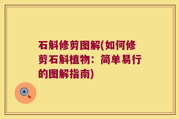 石斛修剪图解(如何修剪石斛植物：简单易行的图解指南)