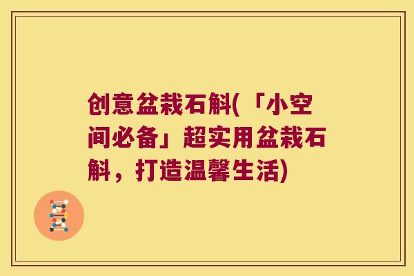 创意盆栽石斛(「小空间必备」超实用盆栽石斛，打造温馨生活)