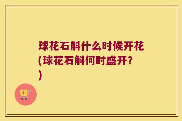 球花石斛什么时候开花(球花石斛何时盛开？)