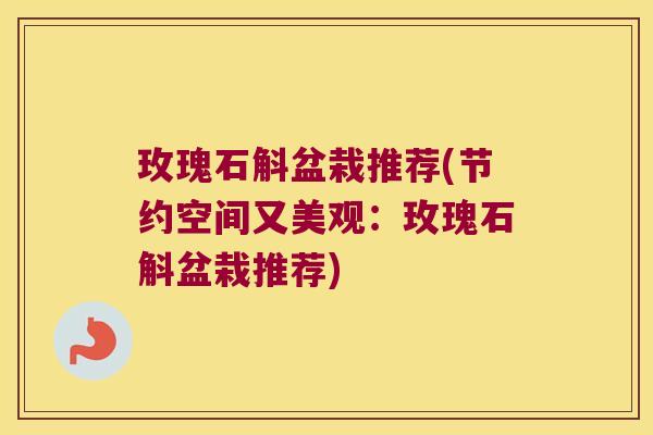 玫瑰石斛盆栽推荐(节约空间又美观：玫瑰石斛盆栽推荐)