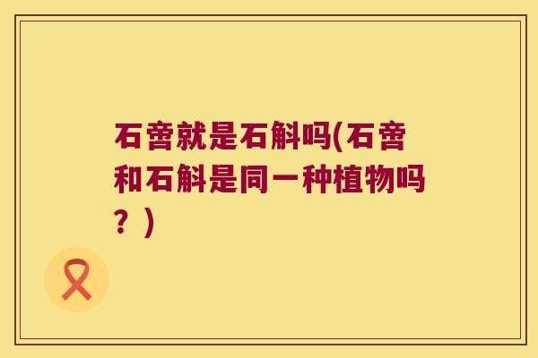 石啻就是石斛吗(石啻和石斛是同一种植物吗？)