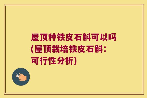 屋顶种铁皮石斛可以吗(屋顶栽培铁皮石斛：可行性分析)