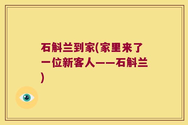石斛兰到家(家里来了一位新客人——石斛兰)