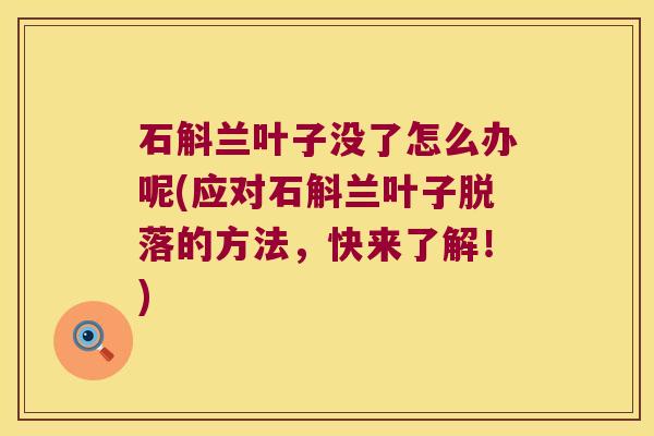 石斛兰叶子没了怎么办呢(应对石斛兰叶子脱落的方法，快来了解！)