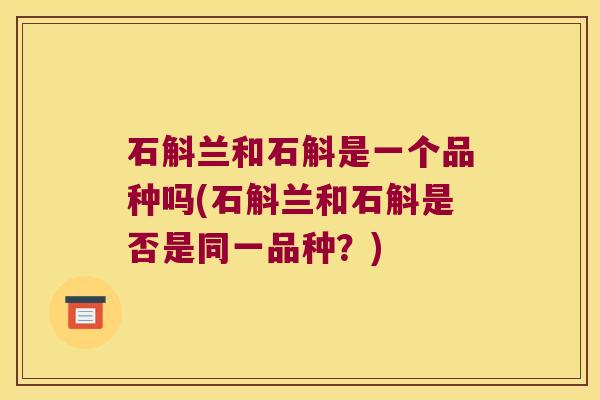 石斛兰和石斛是一个品种吗(石斛兰和石斛是否是同一品种？)