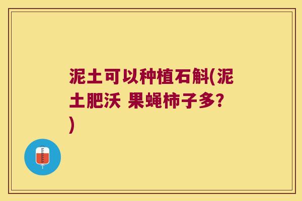 泥土可以种植石斛(泥土肥沃 果蝇柿子多？)