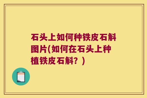 石头上如何种铁皮石斛图片(如何在石头上种植铁皮石斛？)