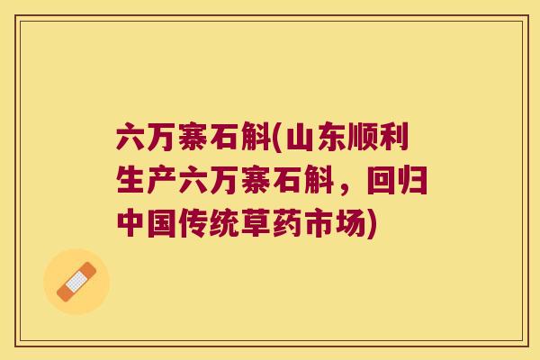 六万寨石斛(山东顺利生产六万寨石斛，回归中国传统草药市场)