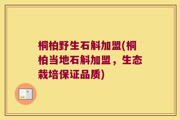 桐柏野生石斛加盟(桐柏当地石斛加盟，生态栽培保证品质)