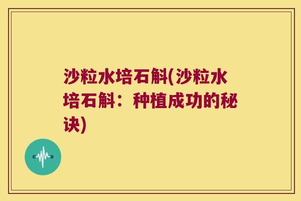 沙粒水培石斛(沙粒水培石斛：种植成功的秘诀)