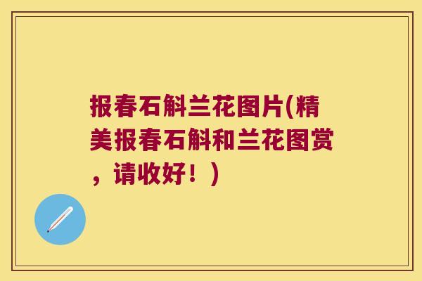 报春石斛兰花图片(精美报春石斛和兰花图赏，请收好！)