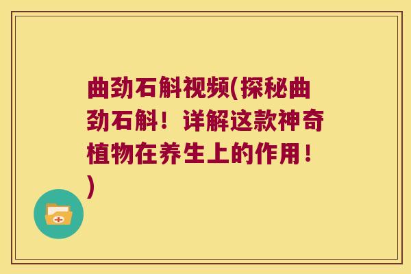 曲劲石斛视频(探秘曲劲石斛！详解这款神奇植物在养生上的作用！)