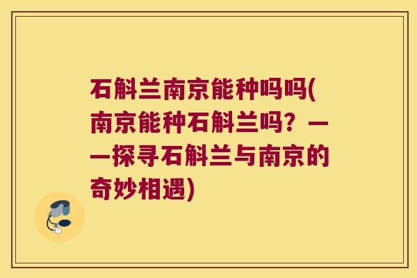石斛兰南京能种吗吗(南京能种石斛兰吗？——探寻石斛兰与南京的奇妙相遇)