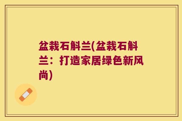 盆栽石斛兰(盆栽石斛兰:打造家居绿色新风尚) 盆栽石斛兰(盆栽石斛兰:打造家居绿色新风尚)