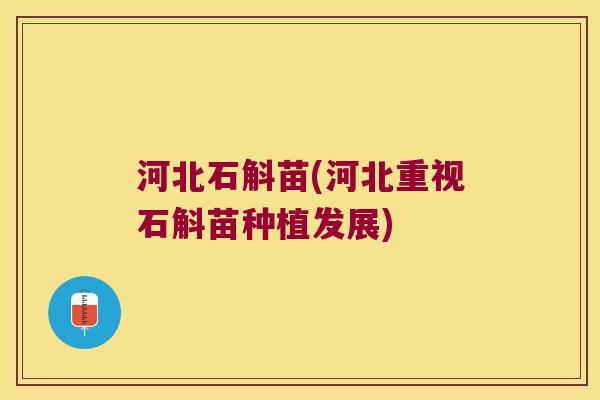 河北石斛苗(河北重视石斛苗种植发展)