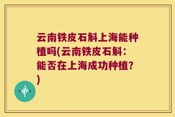 云南铁皮石斛上海能种植吗(云南铁皮石斛：能否在上海成功种植？)