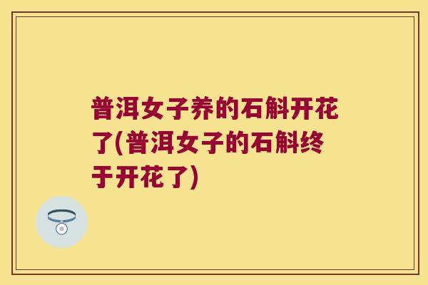 普洱女子养的石斛开花了(普洱女子的石斛终于开花了)