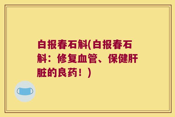 白报春石斛(白报春石斛：修复血管、保健肝脏的良药！)