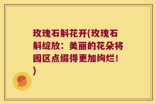 玫瑰石斛花开(玫瑰石斛绽放：美丽的花朵将园区点缀得更加绚烂！)