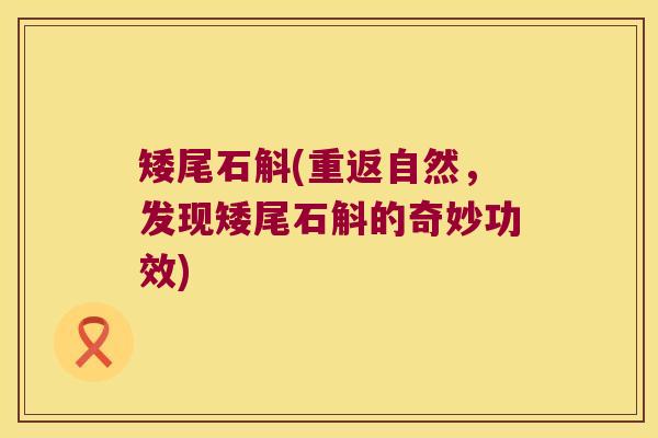 矮尾石斛(重返自然，发现矮尾石斛的奇妙功效)