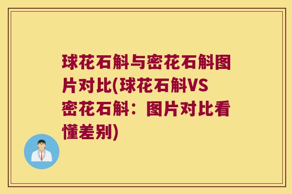 球花石斛与密花石斛图片对比(球花石斛VS密花石斛：图片对比看懂差别)