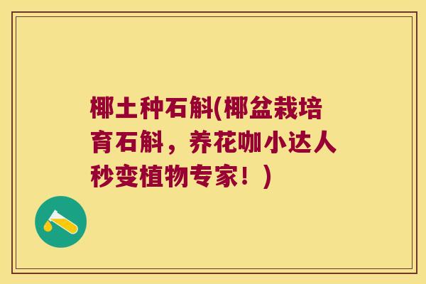 椰土种石斛(椰盆栽培育石斛，养花咖小达人秒变植物专家！)