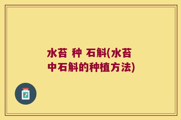 水苔 种 石斛(水苔中石斛的种植方法)