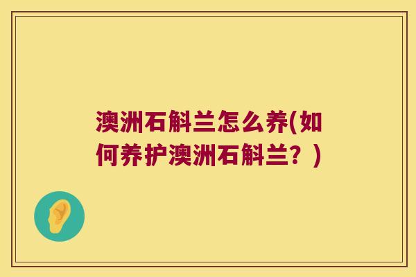 澳洲石斛兰怎么养(如何养护澳洲石斛兰？)