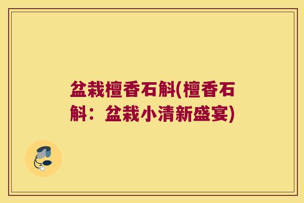 盆栽檀香石斛(檀香石斛：盆栽小清新盛宴)