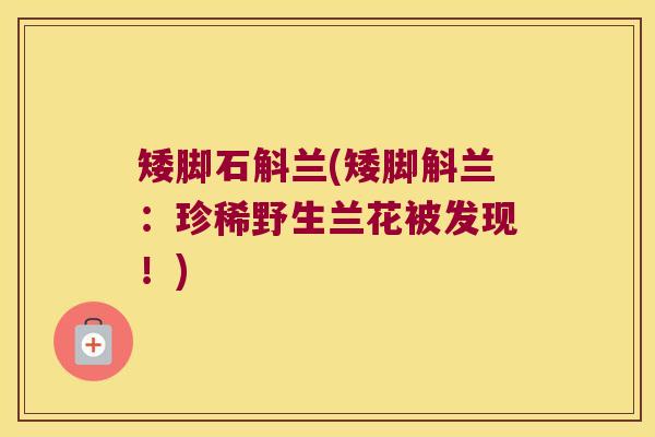 矮脚石斛兰(矮脚斛兰：珍稀野生兰花被发现！)