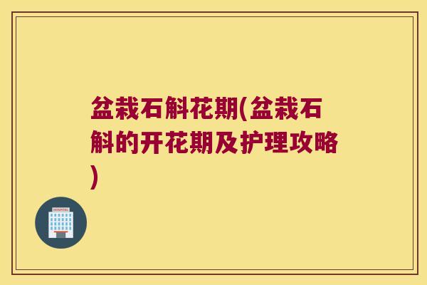 盆栽石斛花期(盆栽石斛的开花期及护理攻略)