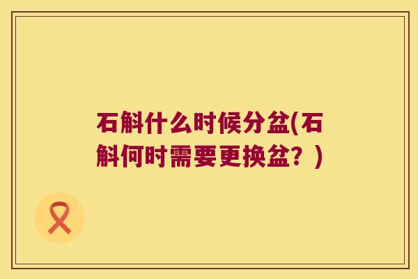 石斛什么时候分盆(石斛何时需要更换盆？)