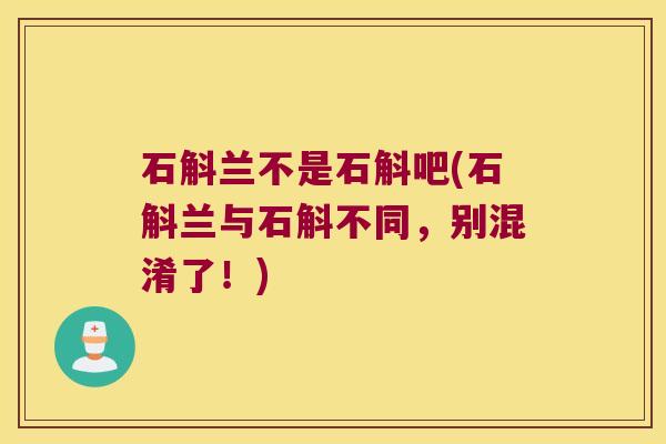 石斛兰不是石斛吧(石斛兰与石斛不同，别混淆了！)