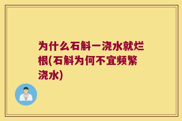为什么石斛一浇水就烂根(石斛为何不宜频繁浇水)
