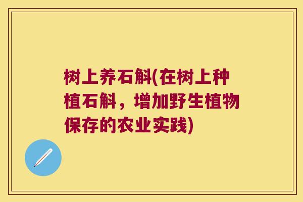 树上养石斛(在树上种植石斛，增加野生植物保存的农业实践)