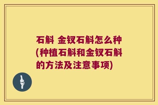 石斛 金钗石斛怎么种(种植石斛和金钗石斛的方法及注意事项)