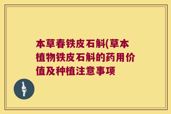 本草春铁皮石斛(草本植物铁皮石斛的药用价值及种植注意事项